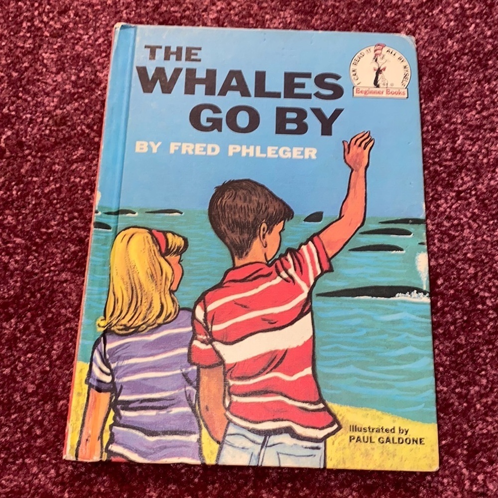 The Whales 🐳 Go By Vintage Book